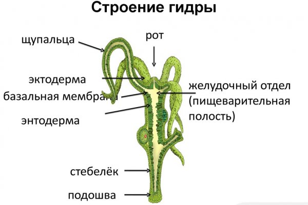 Kraken tor зеркало