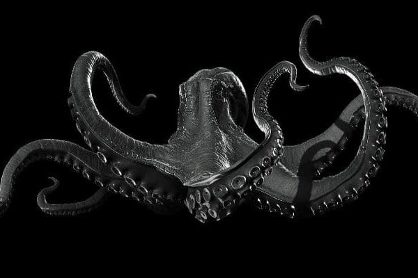 Kraken17 at