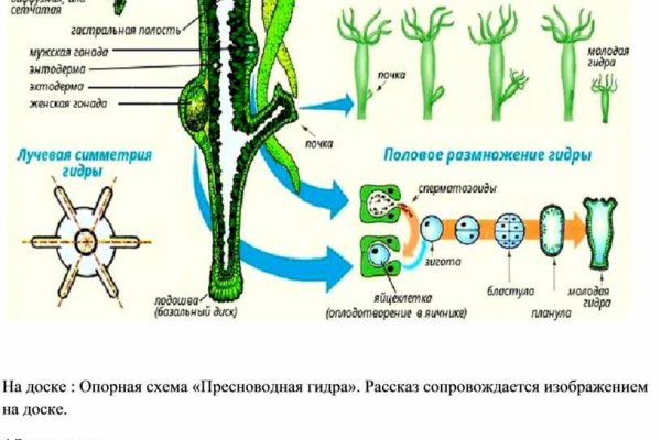 Новый адрес кракен