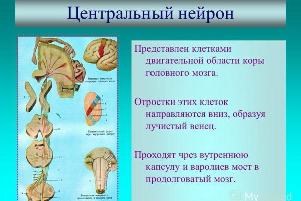 Кракен перестал работать